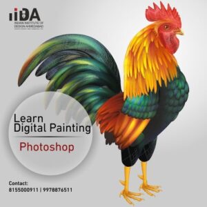 Photoshop at IIDA